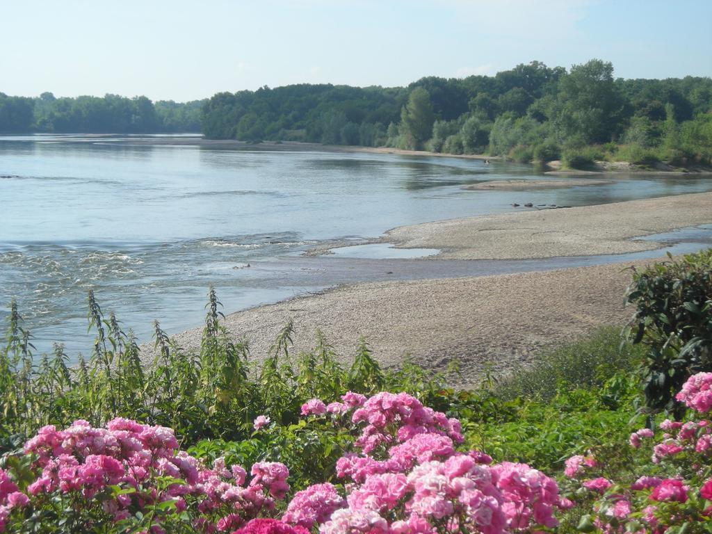 Hotel De La Loire Saint-Satur Buitenkant foto